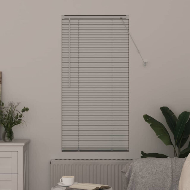 Venetian Blind