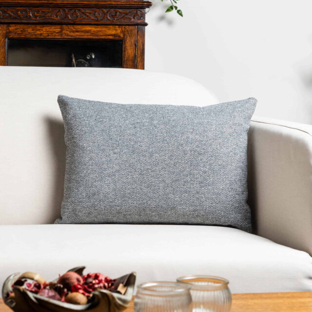 Cushion