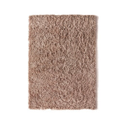 Yisroel Hand Woven Area Rug