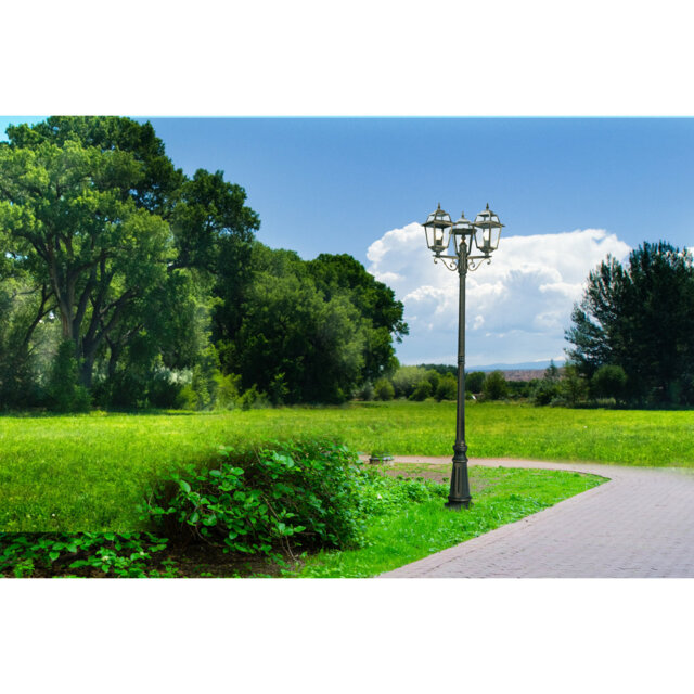 Carrizales Transparent Lamp Post (Full)