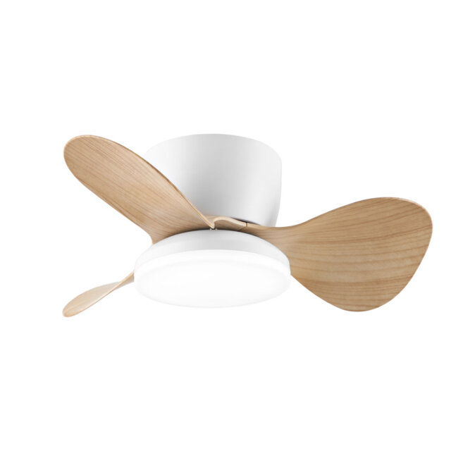 Ceiling Fan With Led Ligh 61-Centimeter Fan Equipped With Led Lights, White