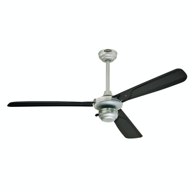 MOUNTAIN GALE Ceiling Fan