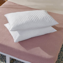 Non-Allergenic Machine Washable Quilted Pillows (Set of 2)