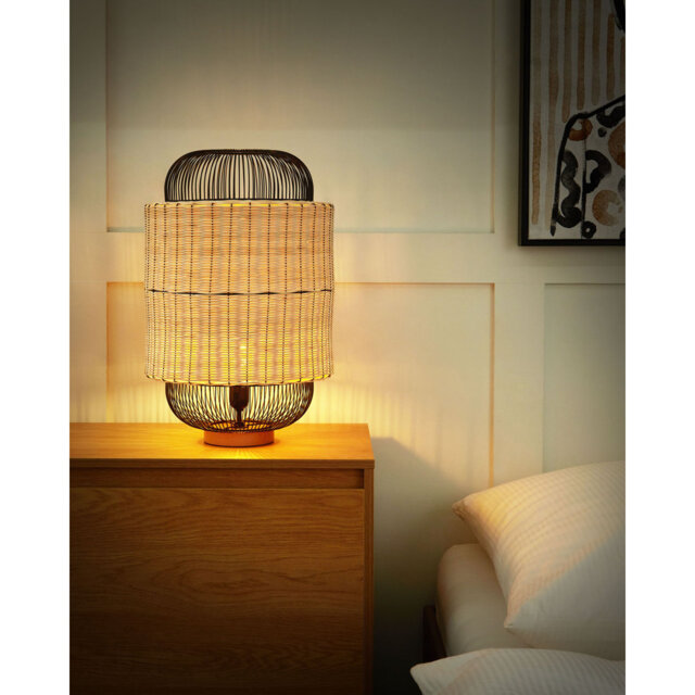 Amyrah Novelty Lamp