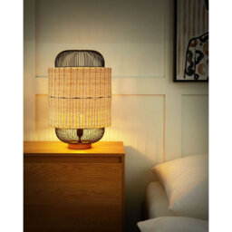 Amyrah Novelty Lamp