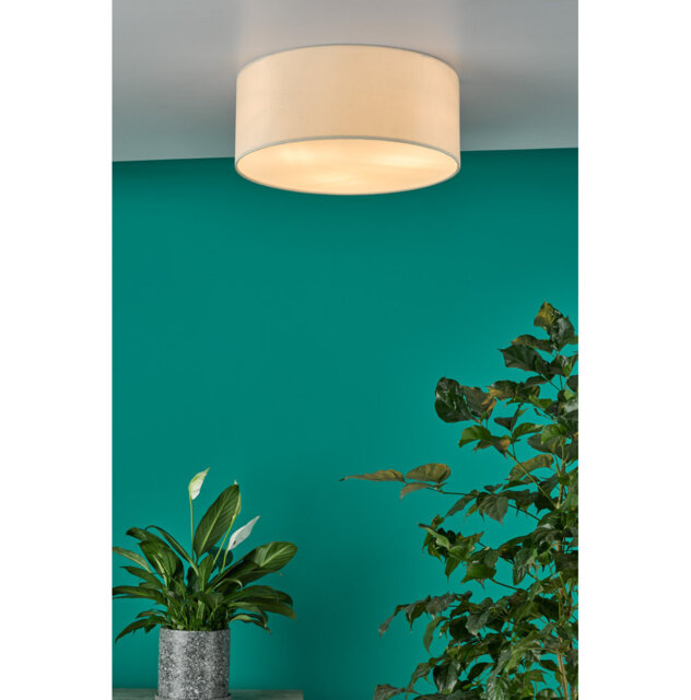 Derbyshire Plastic Flush Mount