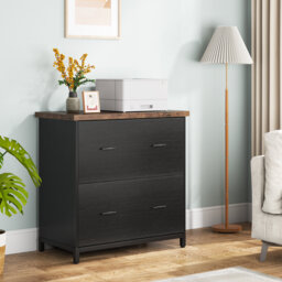 Helane 2 Drawer Lateral Filing Cabinet