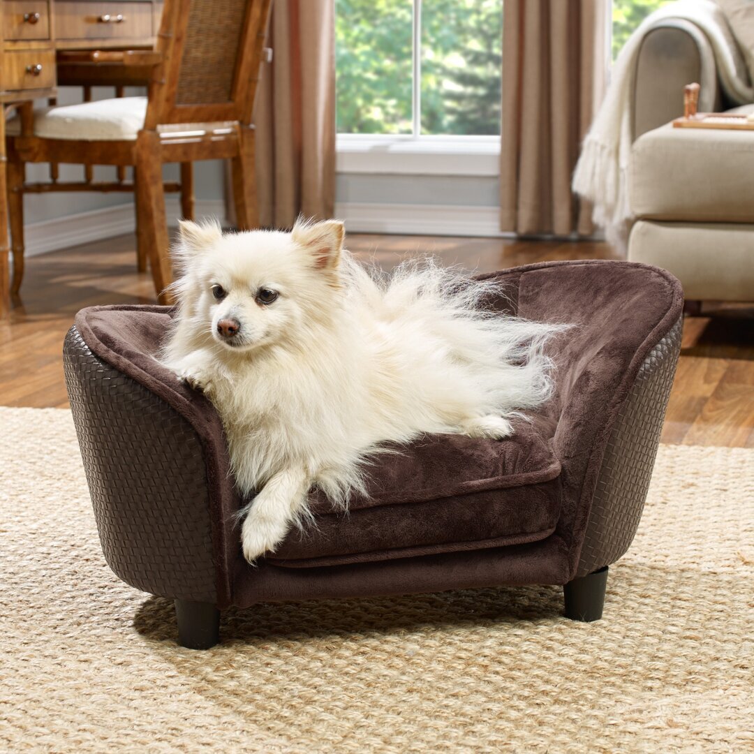 Constantine Snuggle Dog Sofa with Loft Cushion by Wayfair