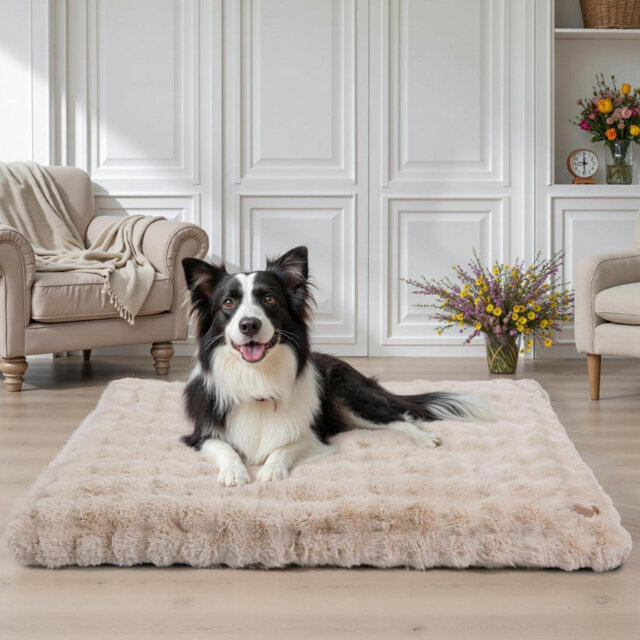 Extra Large Dog Bed: Calming Crate Mattress With Washable Removable Cover And Anti-Slip Bottom, Fluffy Anti Anxiety Water Resistant Pet Beds, Puppy Pi