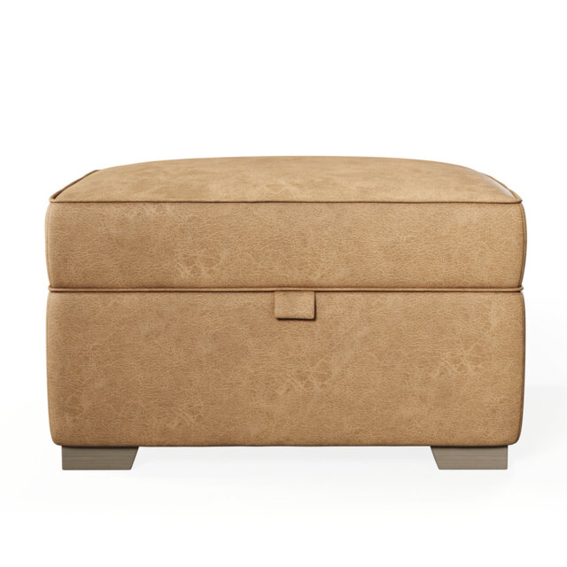 Bablu Marylin Wide Rectangle Footstool Ottoman with Storage