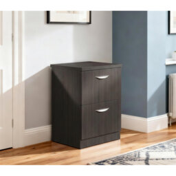48cm Wide 2 -Drawer File Cabinet