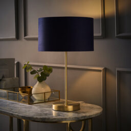 Dadiva Brushed Chrome Stem Table Lamp with Velvet Reni Shade