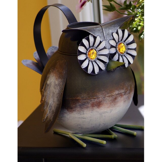 Novelty Owl Indoor Watering Can Tahlia Figurine