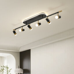 Black/Gold LED Adjustable Fixed Track Lighting Head
