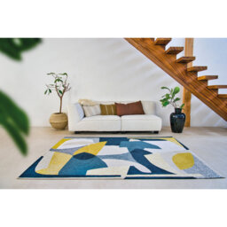 No Pattern And Not Solid Colour Area Rug