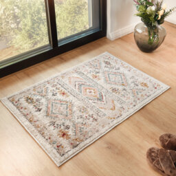 Eldon Pale Pink/Teal Rug