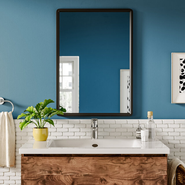 Harijan Metal Framed Wall Mounted Accent Mirror in Black