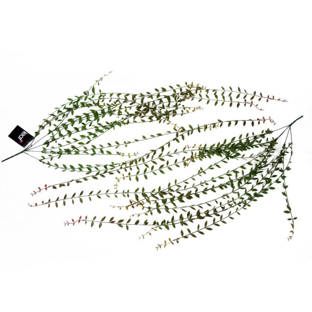 Artificial Realistic Foliage Hanging Fern Plant String of Pearls Long Large