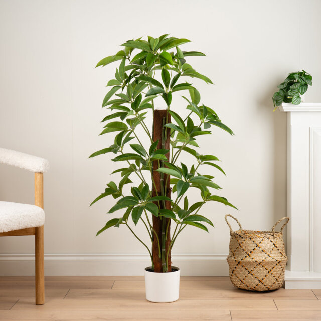 120cm Faux Real Touch Climbing Schefflera / Umbrella Plant in White Pot