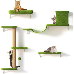 Cat Wall Shelves, Wooden Kitten Climbing Wall With Scratching Post For 16 Inch Drywall