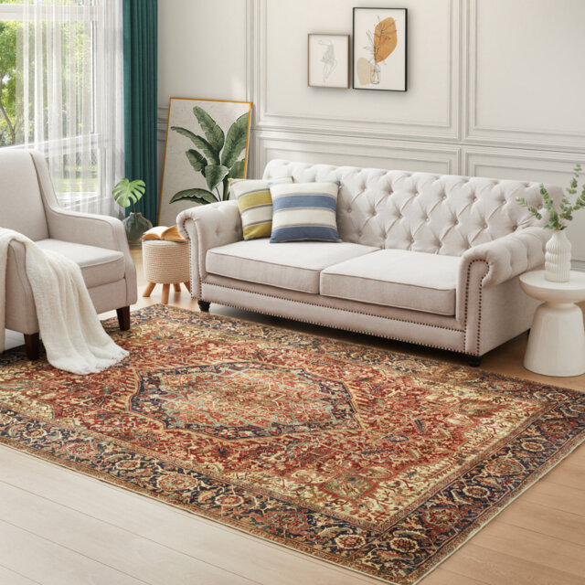 Alnisa Area Rugs with Vibrant Patterns â Perfect for Bedroom or Dining Room