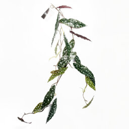 110cm Faux Plant