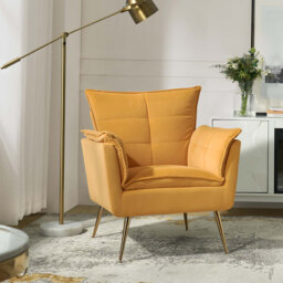 Toulouse Contemporary and Classic Velvet Armchair