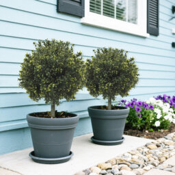 "29 Inch (75 cm) Artificial Boxwood Ball Topiary Tree Set of 2 – Spherical Faux Evergreen with 8""(20 cm) Ground Spikes for Porch Patio Garden Planters"