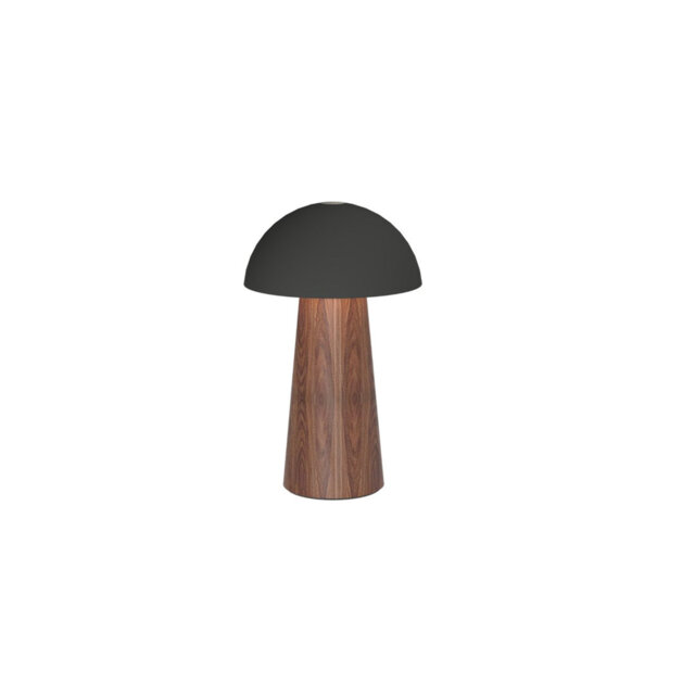 Wood Desk Lamp
