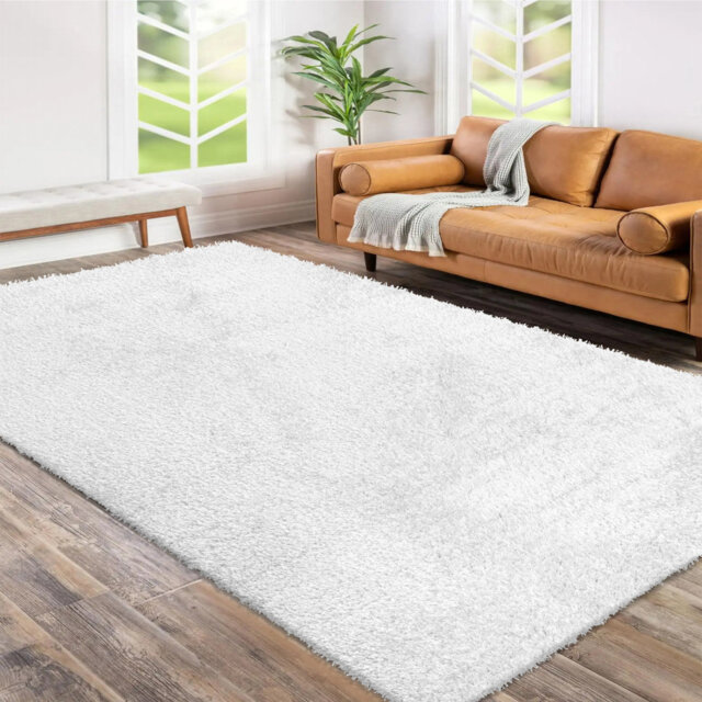 Caytlyn Shag Indoor / Outdoor Area Rug