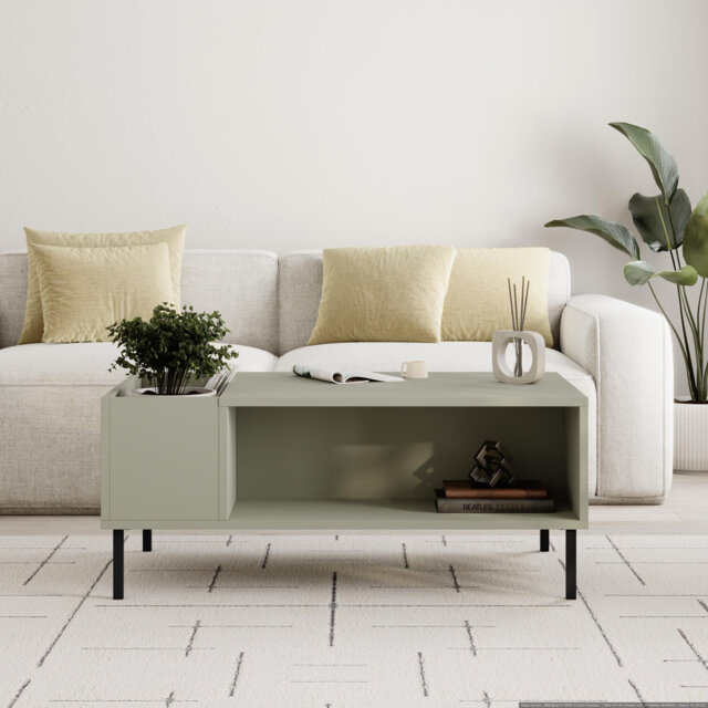 Coffee Table with Storage