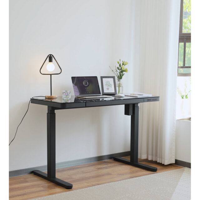 120Cm W Rectangular Standing Desk