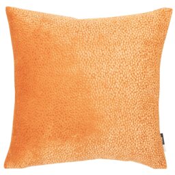 Square Cushion