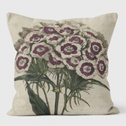 Sweet William - Botanical Cushion