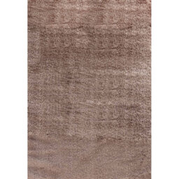 Asharn Solid Colour Shaggy BRONZE Indoor / Outdoor Area Rug