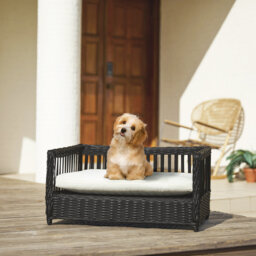 Teamson Pets Clotho Outdoor Wicker Cat or Small Dog Daybed
