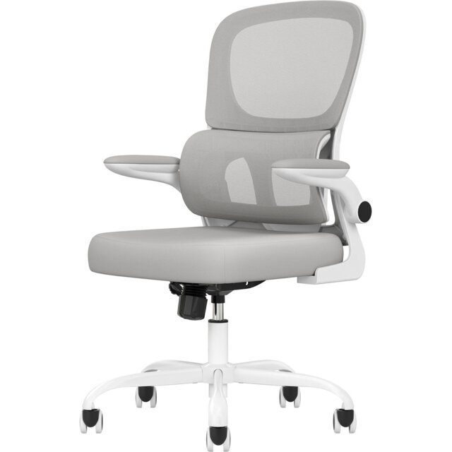 Furniture Penney Task Chair Wayfair Penney Task Chair By Everly