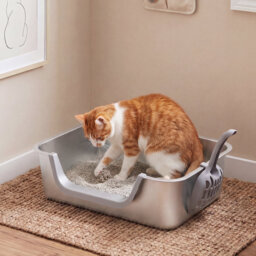 Cat Litter Tray Stainless Steel 7.5cm Low Entry High Sides 201 Steel