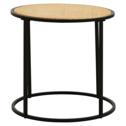 Aniceto End Table