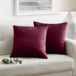 Elegant Velvet Cushion cover Home Décor–for Sofa, couch, bed, living room