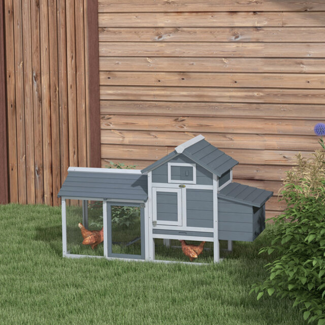 Pattie Chicken Coop