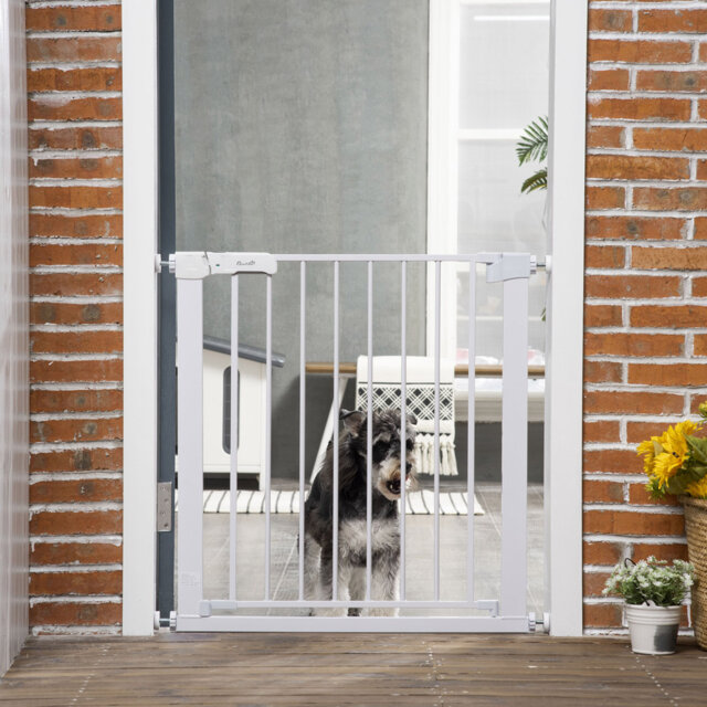 Wall Mounted Pet Gate