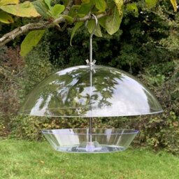 Kronos Tray Bird Feeder
