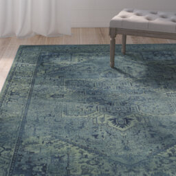 Oaklyn Looped/Hooked Turquoise Rug