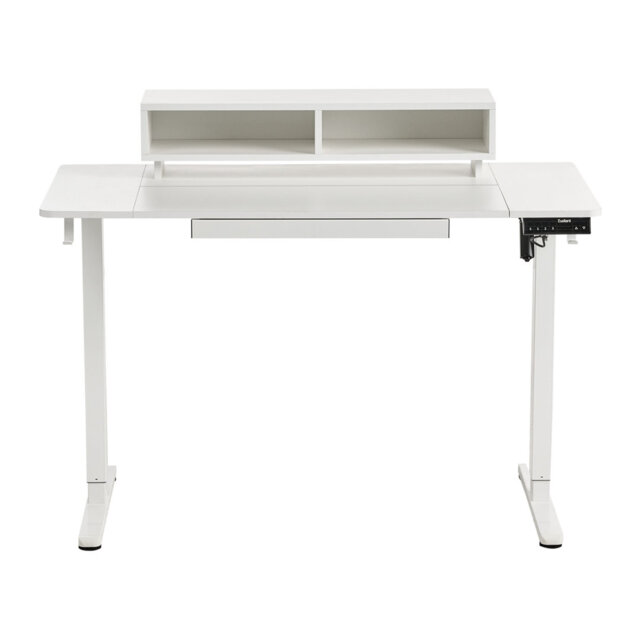 Electric Adjustable Standing Desk LUCAMA Light Brown/ White 120 cm 60 cm with USB Port