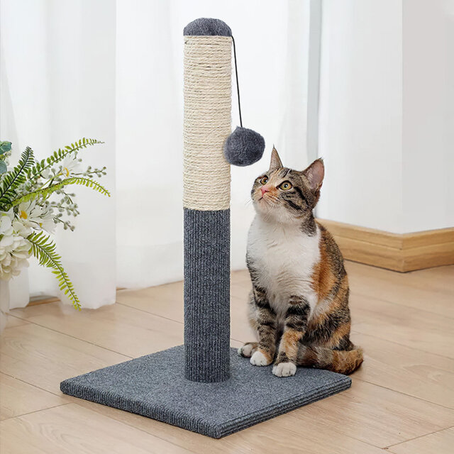 Sedley Scratching Post