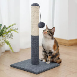 Sedley Scratching Post