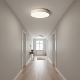 Flush Mount