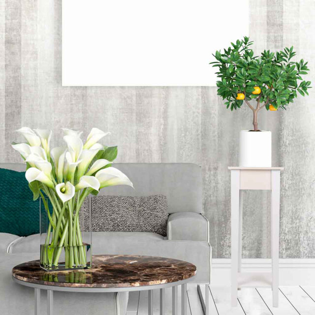 Renko Plant Stand