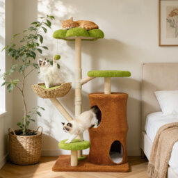 Cat Tree